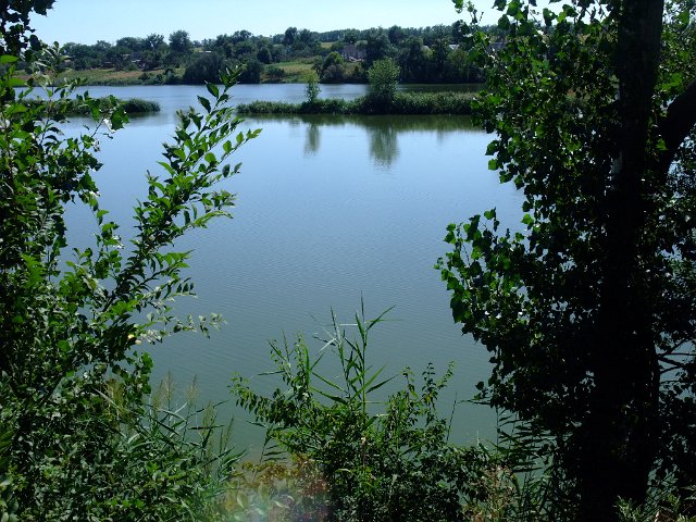 ua2010_233