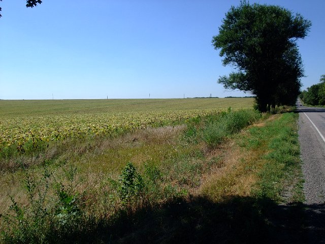ua2010_260