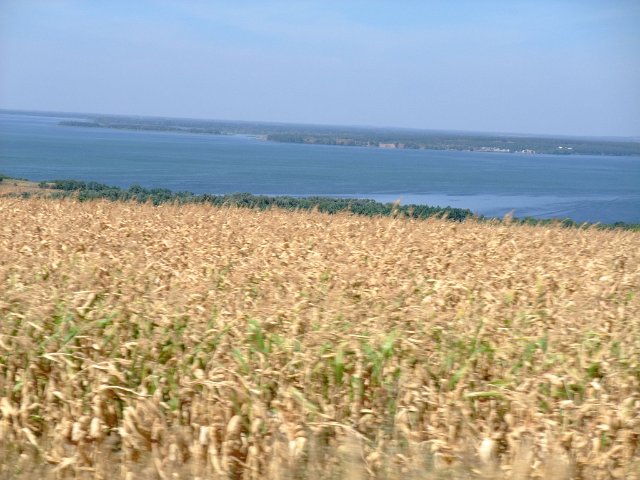 ua2010_262