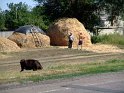 ua2010_230