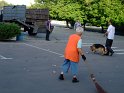 ua2010_268