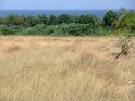 ua2010_281