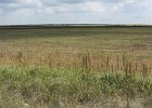 Weit bis zum Horizont (den gibt es ja überall)