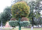 Blumenschmuck