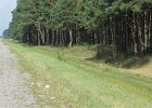 Neben der Strasse