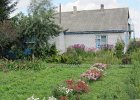 EIn gepflegter Garten