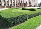 und sein verbotener Palast
